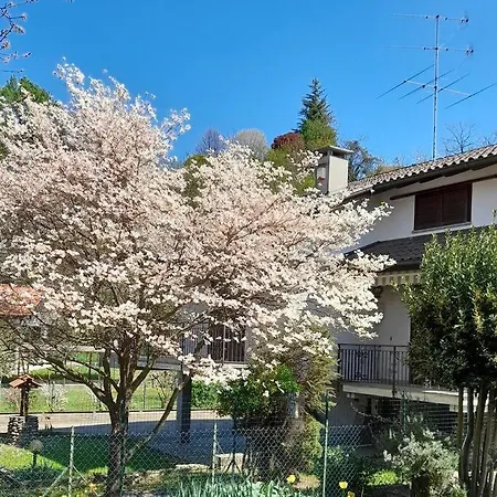 Il Vecchio Kiwi - House With Private Garden