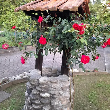 Il Vecchio Kiwi - House With Private Garden 펜션 *