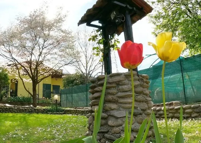 Semesterbostad Il Vecchio Kiwi - House With Private Garden