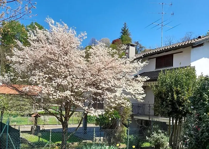 Il Vecchio Kiwi - House With Private Garden