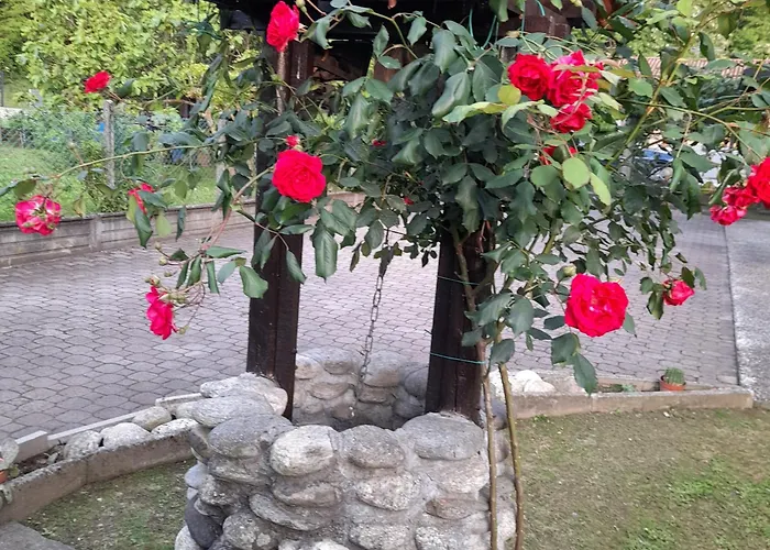 Il Vecchio Kiwi - House With Private Garden Holiday home *